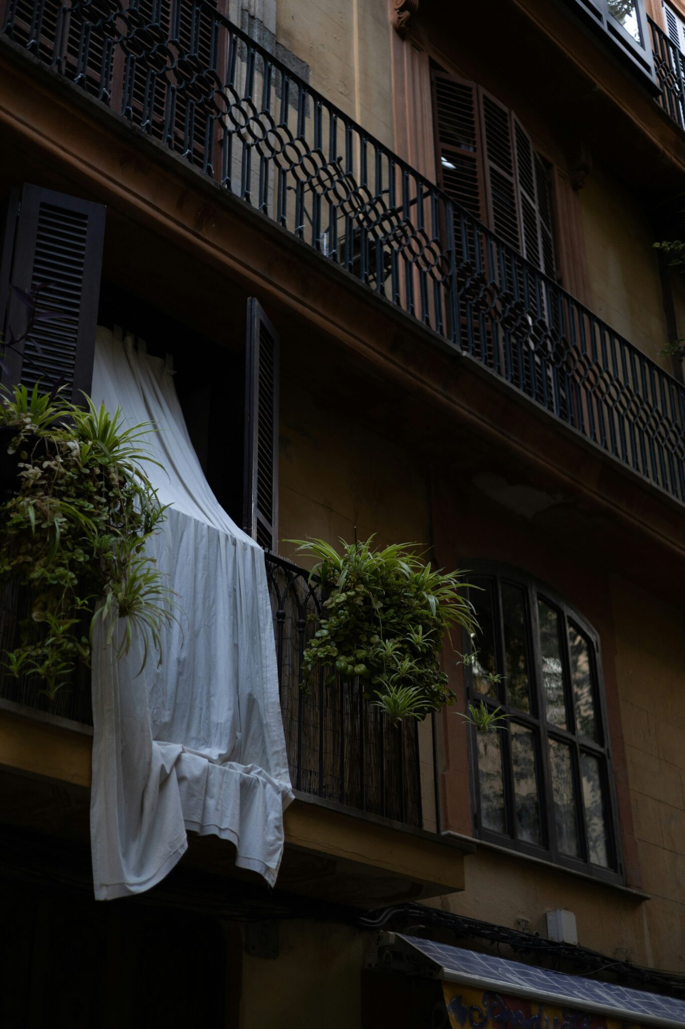 Balcony Garden Balcony
